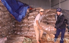 Phát hiện 26 tấn khoai tây Trung Quốc có lượng thuốc trừ sâu cao gấp 16 lần