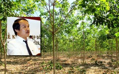 Phó thủ tướng Campuchia bác bỏ thông tin bầu Đức phá rừng
