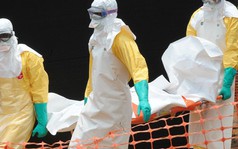 Sức tàn phá khủng khiếp của virus Ebola