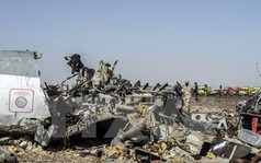 Ai Cập cho phép FBI tham gia điều tra tai nạn máy bay Nga A321