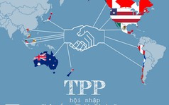 Hiệp định TPP: Việt Nam đi ngược quy trình thế giới?