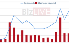 Hai kịch bản khi SCIC thoái vốn khỏi FPT