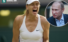 Tổng thống Putin ra mặt, Maria Sharapova không lo án phạt nặng?