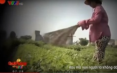 Phóng viên VTV bị "tố" dàn dựng clip "dùng chổi quét rau"