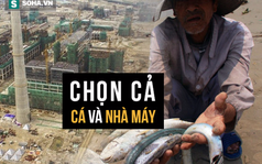 "Chọn cả CÁ và NHÀ MÁY, tại sao không?"