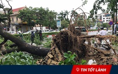 TIN TỐT LÀNH ngày 17/7: Bí thư tỉnh đình chỉ mọi cuộc họp để toàn tâm ứng phó với bão