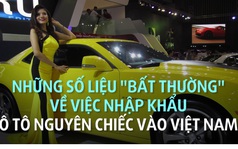 Nhập khẩu ô tô nguyên chiếc vào Việt Nam: Những số liệu "bất thường"