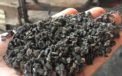 Đã xác định mục đích làm vỏ cà phê nhuộm pin