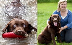 Ấn tượng với chú chó quán quân bị mù