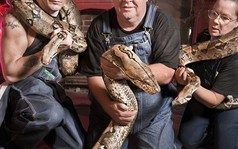 Medusa - cô nàng trăn dài nhất thế giới