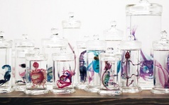 Nghệ thuật kinh ngạc... từ xác động vật