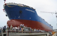 Đề nghị truy tố giám đốc Hoàng Anh - Vinashin