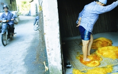 Kinh hãi làm miến ở làng nghề