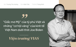 Viện trưởng VIAS: Cần vài chục công ty như Vingroup, Viettel... mới đủ sức nâng tầm kinh tế Việt Nam