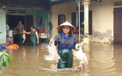 Lũ ở Nghệ An: "Nước dâng nhanh quá, chúng tôi biết nhưng trở tay vẫn không kịp"