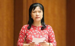 EVN làm rõ khoản lỗ hơn 26.000 tỉ đồng, công ty con gửi ngân hàng cả vạn tỉ đồng