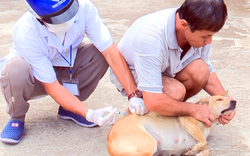 Bị chó nuôi trong nhà cắn trước Tết, người đàn ông vừa lên cơn “sợ gió, sợ nước” rồi tử vong