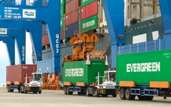 Cựu cán bộ Hải quan giảm tiền nhận hối lộ để giúp doanh nghiệp cạnh tranh