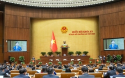 Dự kiến rút ngắn 3 tháng nhiệm kỳ Quốc hội khóa XV, HĐND nhiệm kỳ 2021-2026