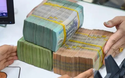 Nghỉ hưu trước tuổi, nhân viên lái xe cấp sở tại Bình Định nhận gần 1 tỷ đồng