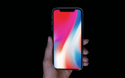 iPhone X được rao tại Việt Nam giá 50 triệu đồng