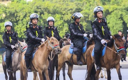 Chức năng, nhiệm vụ của đoàn Cảnh sát Cơ động Kỵ binh là gì?