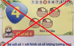 GS Trần Đình Sử: Ảnh 'bốn cái làn' trong sách Tiếng Việt lớp 1 là bịa đặt