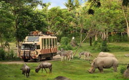 Quảng Ninh xây Vinpearl Safari rộng 1.135 ha ở Hạ Long