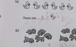 Bài toán lớp 1 đếm số vịt và chó, 99% phụ huynh và giáo viên đều thấy học sinh trả lời sai
