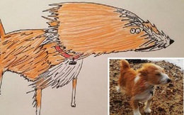 Vẽ chó mèo xấu nhưng vẫn bán được 150 triệu đồng, họa sĩ bèn đem đi từ thiện cho đỡ mang tiếng