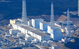 Nước nhiễm xạ ở Fukushima có thể hủy hoại ADN người