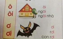 Lại hoang mang chuyện sách giáo khoa lớp 1 dạy trẻ đọc 'con dơi' thành 'con rơi' nhưng sự thật phía sau mới làm phụ huynh 'ngã ngửa'