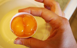 Vì sao quả trứng có thể có tận 2 lòng đỏ?