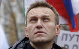 OPCW xác nhận có chất độc trong mẫu máu của Navalny