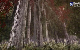 Khu rừng thực tế ảo mô phỏng chân thực tác động của biến đổi khí hậu