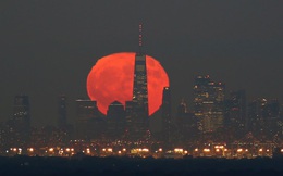 24h qua ảnh: Mặt trăng khổng lồ phía sau tòa nhà Trung tâm Thương mại Thế giới