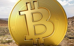 Giá Bitcoin có thể lên đến 300.000 USD?