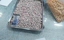 Hơn 20 kg ma tuý trong các lô hàng quà biếu được ngụy trang tinh vi về Sài Gòn