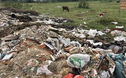 Cận cảnh hàng trăm tấn rác tấn công Khu tái định cư 38 ha ở quận 12