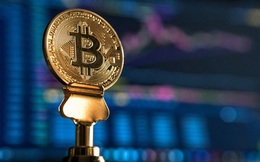 Bitcoin tăng vọt lên sát 16.000 USD, cách đỉnh cao nhất lịch sử không còn xa