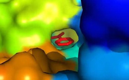 Các nhà khoa học đã tổng hợp được một loại 'siêu enzym' mới có khả năng phân hủy nhựa gấp 6 lần