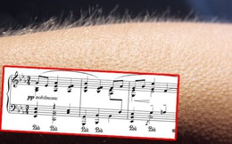 Khoa học giải thích: Tại sao chúng ta nổi da gà khi nghe nhạc?