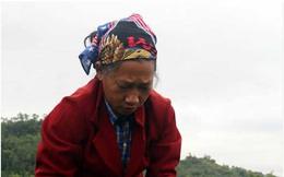 Lạng Sơn: Lạ, trồng bí trái chưa kịp "dậy thì thành công" đã cắt, có bao nhiêu bán hết bấy nhiêu