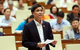Phó Chủ tịch Tổng Liên đoàn Lao động VN: Cách chức ông Lê Vinh Danh là đúng quy định
