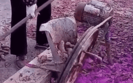 Cảnh tượng thái khoai lang gây tranh cãi: bẩn thế này liệu có dùng cho người ăn được không?