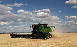 Australia khiếu nại Trung Quốc lên WTO về thuế đối với lúa mạch