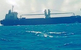 Khẩn trương cứu nạn 15 thủy thủ tàu nước ngoài chìm trên biển Bình Thuận