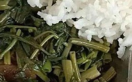 Bữa cơm 20 nghìn được thêm miếng thịt lạ kỳ, vừa đặt đũa nữ sinh phải 'hú hét' vì điều nhìn thấy