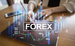 Môi giới Forex trái phép có thể bị xử lý hình sự