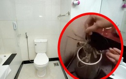 Nhân viên khách sạn đưa lời khuyên nên đun ấm nước sôi đổ vào bồn cầu, lời giải thích chắc hẳn sẽ làm nhiều người cảm thấy bất ngờ